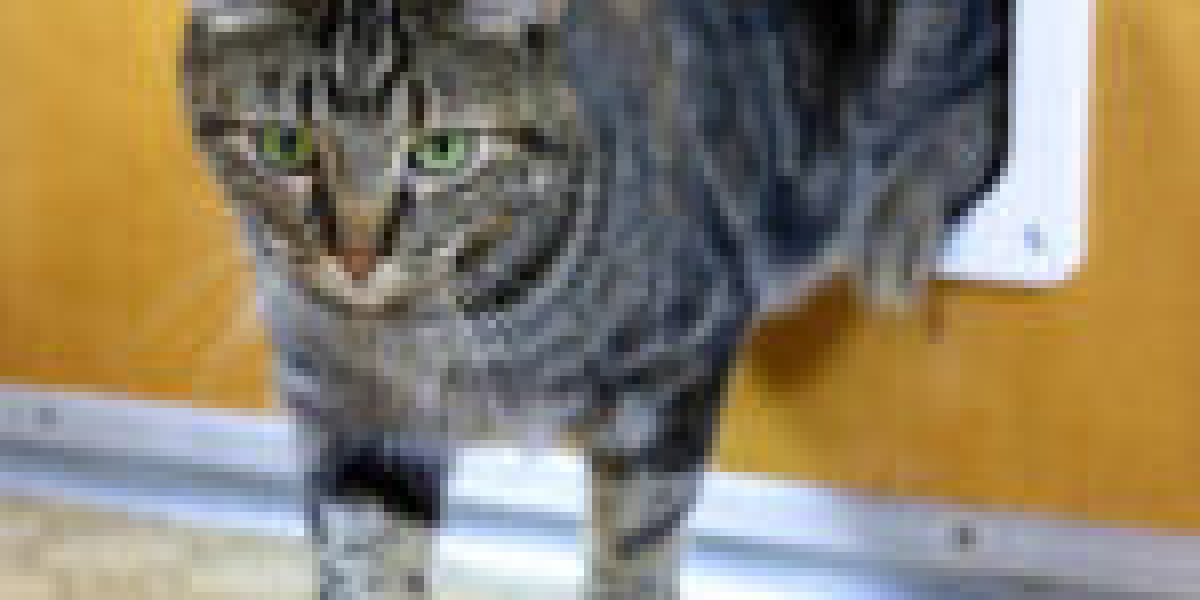 Why No One Cares About Cat Flap Installer Company
