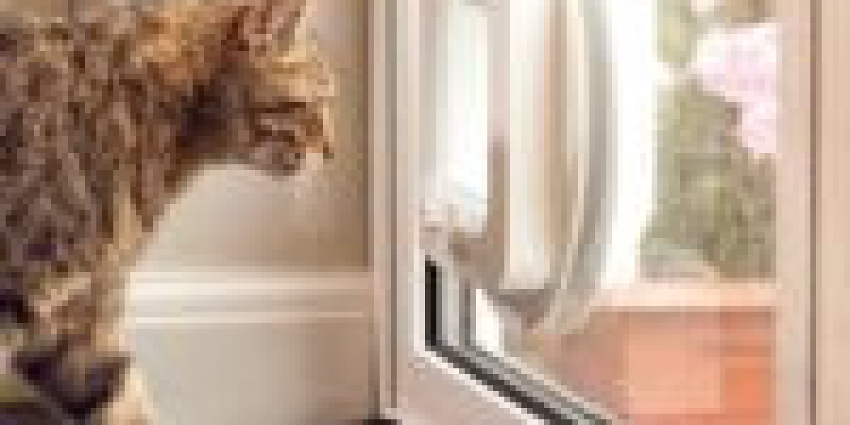 The Biggest Issue With Cat Door Fixing And What You Can Do To Fix It